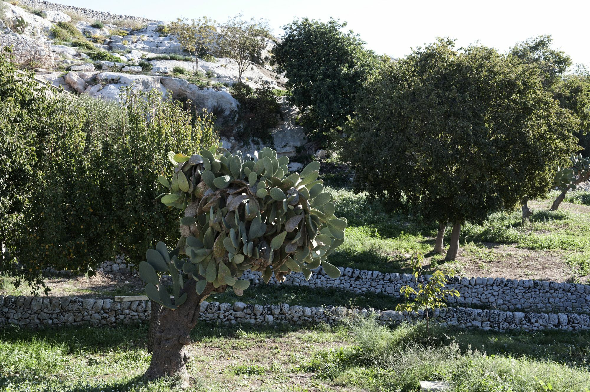 Valle Dell'Acanto Modica Exterior foto